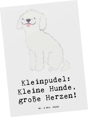 Produktbild von Mr. & Mrs. Panda Postkarte Kleinpudel Liebe - Weiß - Geschenk, Hunderassen, Ansichtskarten, Hund, Grußkarte, intelligenter, Fotokarte, Postkarten, liebevoller, Pflege