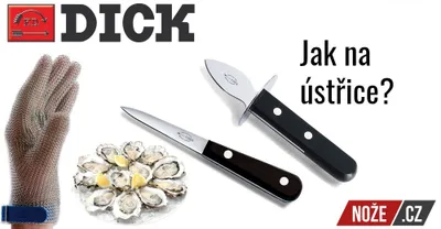 Produktbild von F. DICK Austernöffner Klingenlänge 7 cm Griff aus hygienischem Kunststoff