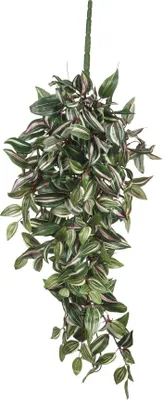Produktbild von Mica Decorations Tradescantia hängende Kunstpflanze - L15 x B30 x H80 cm - Grün