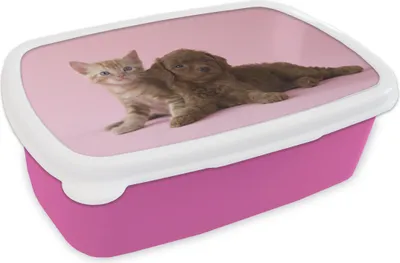 Produktbild von KitchenYeah® Lunchbox Brotzeit Brotdose 17x11 cm Katze - Hund - Rosa Kinder Brotzeitdose - Lunchpaket - Brotkasten  - Sandwich Box
