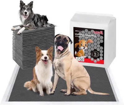 Produktbild von Famanu Trainingspads für Hunde - 50 Stück, schnell trocknend und geruchshemmend