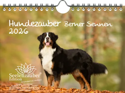 Produktbild von Hundezauber Berner Sennen DIN A5 Kalender für 2026 Welpen und Hunde - Seelenzauber