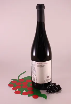 Immagine prodotto di Pinot Nero Riserva Mazon - 2022 - Cantina Hofstätter