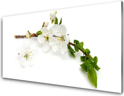 Produktbild von Acrylglasbilder 100x50 Wandbild Druck Blumen Zweig Natur