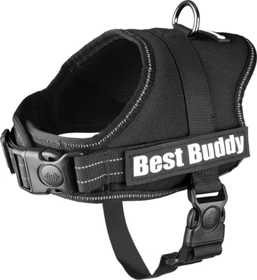 Image de Harnais Flamingo Best Buddy Pluto noir, taille : M