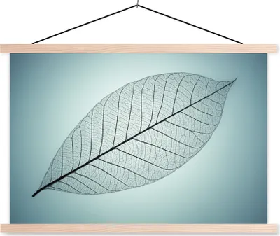Produktbild von MuchoWow® Textilposter Bild eines botanischen Blattskeletts im Hintergrund mit der Farbe Cyan 60x40 cm mit holzfarbenen Rahmen - Bilder