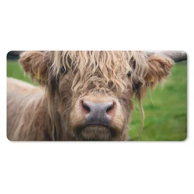 Produktbild von MuchoWow® Schreibtischunterlage Schottische Highlander - Gras - Wald 80x40 cm - XXL Mauspad - Gaming Mauspad