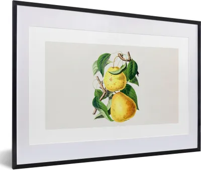Produktbild von MuchoWow® Gerahmtes Poster Birnen - Obst - Gesund 60x40 cm - Poster mit Schwarzem Bilderrahmen Wandposter Rahmen Foto Bilder - Schlafzimmer - Plakat in Rahmen - Drucken