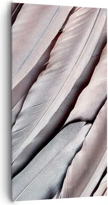 Produktbild von Bild auf Leinwand - Leinwandbild - Einteilig - Federn Flügel Feder - 65x120cm - Wand Bild - Wanddeko - Wandbilder - Leinwanddruck - Bilder - Wanddekoration - Leinwand bilder - Wandbild - PA65x120-5114
