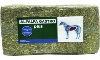 Immagine prodotto di Mangime per cavalli Alfalfa Gastro PLUS, protezione dello stomaco, con olio di lino