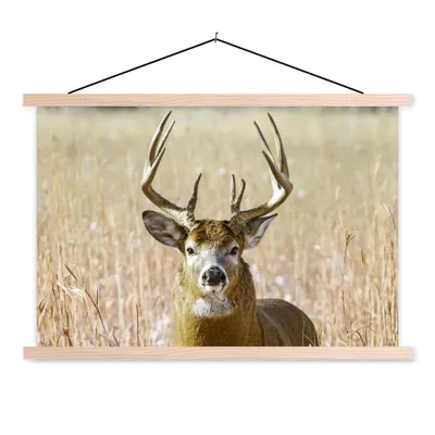 Produktbild von MuchoWow® Textilposter Hirsche - Gras - Herbst - Tiere - Natur - Geweih 120x80 cm mit holzfarbenen Rahmen - Aufhängeset