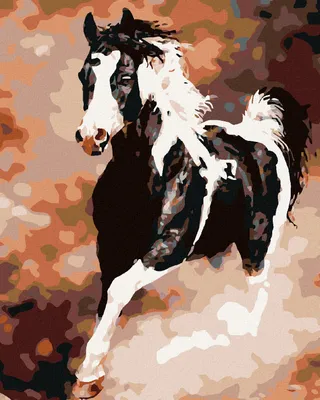 Produktbild von Zuty - Malen nach Zahlen - LAUFENDES SCHWARZWEIßES PFERD, 40x50 cm, mit Keilrahmen (bereits gespannt)