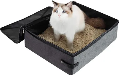 A cat is sitting in a portable litter box.