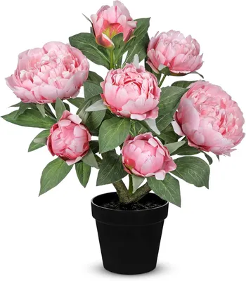 Produktbild von Künstliche Pfingstrosen im Topf, rosa Seidenblumen mit weißem Topf, 1 Stück, für Heimdekoration