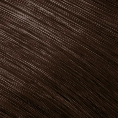 Image de Goldwell Topchic Can 6NA Blond Cendré Naturel Foncé 250gr
