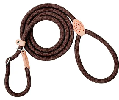 Image de Laisse de dressage pour chien, longueur 180 cm, avec arrêt. Laisse pour chien avec collier