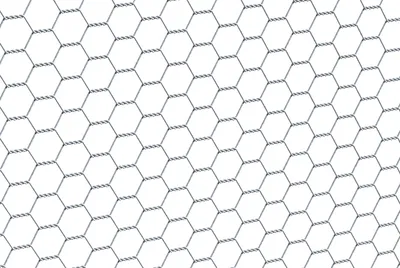 A close-up, full-frame view of hexagonal wire mesh.