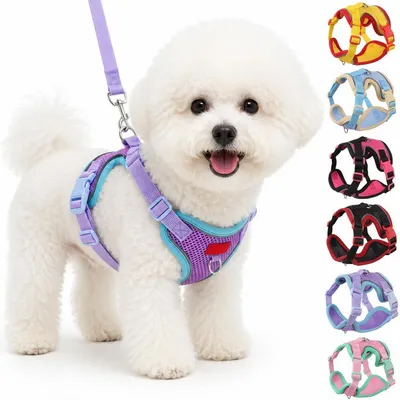 Image de Harnais pour chien avec laisse, idéal pour chiots et petites races, respirant, réglable, réfléchissant, couleur violet, taille M