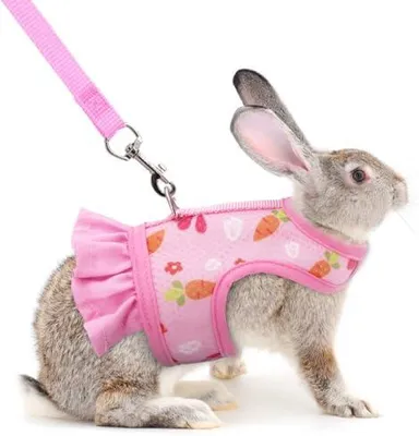Produktbild von Adjustable Harness and Leash for Rabbits Breathable Soft Mesh Vest for Small Animals Cats Guinea Pigs Safety and Comfort Ideal for Dwarf Rabbits (Pink)
