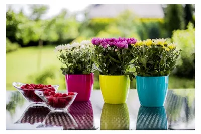 Produktbild von Blumentopf, 2er-Set, Runde Form, Übertopf (Beige, ø 14 cm)