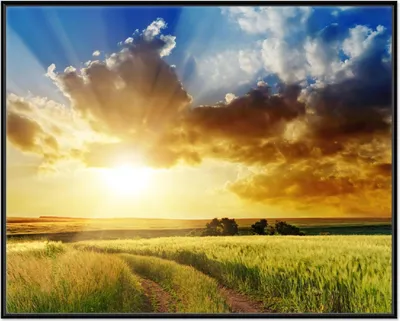 Produktbild von Wallario Wandbild Feldweg in den Sonnenuntergang, Größe: 40,30 x 50,30 cm, Poster mit schwarzem Aluminiumrahmen