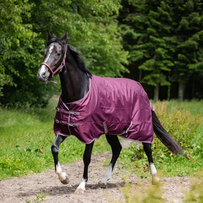 Immagine prodotto di Horse Guard Tappeto per cavalli Landon, 120D, 0 g - prugna - 125 cm