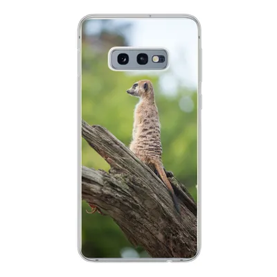 Produktbild von MuchoWow® Handyhülle Schutzhülle Hülle für Samsung Galaxy S10e Erdmännchen - Ast - Baum Silikon Softcase Handy Hülle - Handy