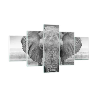 Produktbild von Bilder auf glas - 5 Teile - Elefant Afrika Tier - 125x70cm - Glasbilder - Wandbilder - Bilder - zum Aufhängen bereit - Wanddekoration aus Glas - Glas Bilder - Wandbild auf Glas - GEA125x70-5072
