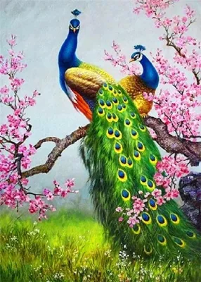 Produktbild von Diamantmalerei: Pfau auf einem Kirschbaumzweig, 30x40 cm, kreative Diamanten