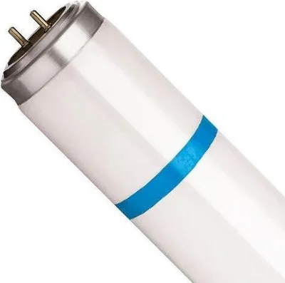 Productafbeelding van Knock Pest Reservelamp shatterproof 20 W