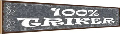 Produktbild von vianmo Holzschild 10x46 cm 100% Trinker