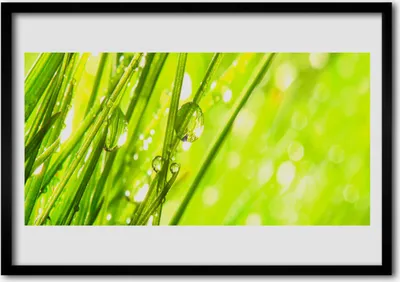 Produktbild von Bild 100x70 MDF-Rahmen Wandkunst Natur Tropfen Gras