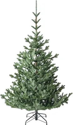 Image de Evergreen Nobilis L arbre de Noël artificiel avec support 210 cm