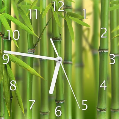 Produktbild von Wallario Design Wanduhr Grüner Bambuswald aus Echtglas, Größe 20 x 20 cm