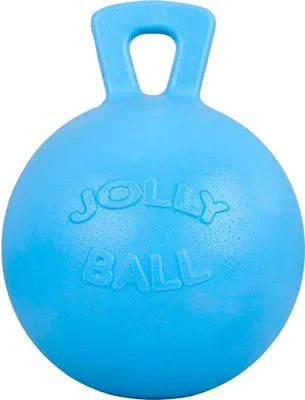 Produktbild von Jolly Ball Spielball Blaubeerspielzeug 10´´ One Size