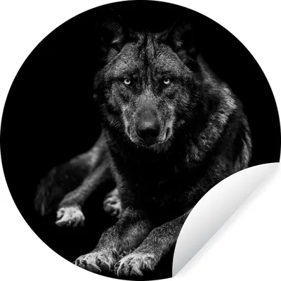 Produktbild von MuchoWow® Runde Wandtattoo - Wandsticker Tapete Aufkleber Tiere - Wolf - Schwarz - Weiß - Porträt Ø 100 cm Selbstklebend und Repositionierbar - Wandaufkleber - Kreis - Tapetenkreis - Wandbild rund - Schlafzimmerdekoration - Wanddeko - runde Tapete - Kunst für zu Hause