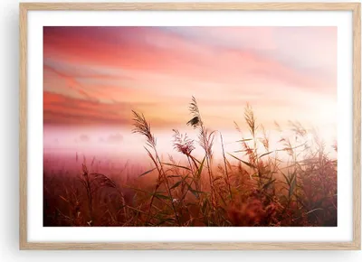 Produktbild von Gerahmtes Poster - Rahmen in heller Eiche - Wiese Getreide Natur - 70x50 cm - Wand Bild - Wanddeko - Wandbilder - Wandposter - Bilderrahmen - Bilder - Kunstdruck - Wandbild - P2NAA70x50-3530