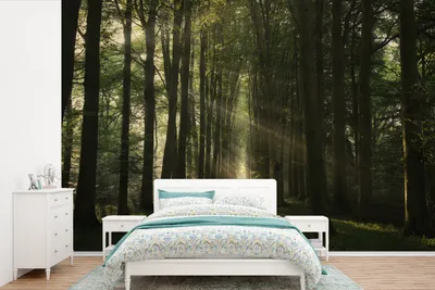 Produktbild von MuchoWow® Fototapete für Wohnzimmer oder Schlafzimmer Wandtapete Vinyl Motivtapete Waldweg - Sonnenstrahlen - Horizont - Bäume - Wald - 600x400 cm - Vinyltapeten