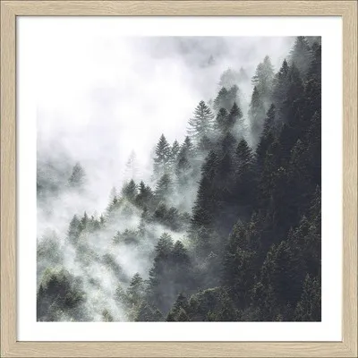 Produktbild von Gerahmtes Bild Foggy Trees I 33x33 cm