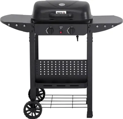 Image de Barbecue à gaz 5 kW, 2 brûleurs, acier 100,5 x 49 x 92,4 cm