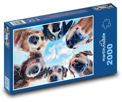 Produktbild von martinpuzzle - Puzzle 2000 Teile - Fantasiehunde
