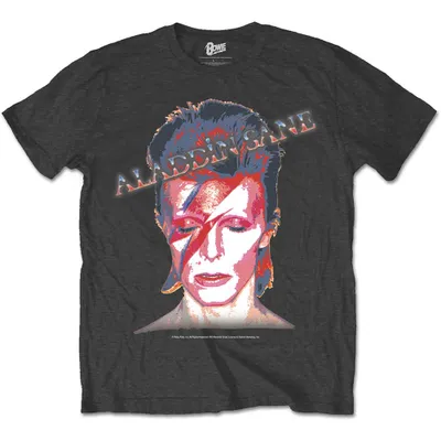 Produktbild von David Bowie Aladdin Sane Charcoal Grey L T-Shirt