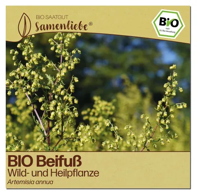 Produktbild von Samenliebe  Beifuß Samen | Gemeiner Beifuß - samenfestes  Saatgut