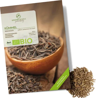 Produktbild von Kümmelsamen - Küchenkräuter Saatgut aus biologischem Anbau ideal für den heimischen Kräutergarten, Balkon & Garten (400 Korn)