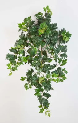 Produktbild von artplants.de Künstliche Königsweinranke HEROPHILA, 350 Blätter, grün, 70cm - Kunstranke - Dekopflanze