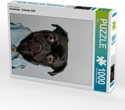 Produktbild von CALVENDO Puzzle Ein Motiv aus dem Kalender Hundeliebe - Kalender 2020 | 1000 Teile Lege-Größe 64x48cm Foto-Puzzle für glückliche Stunden