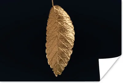 Produktbild von MuchoWow® Poster Blätter - Schwarz - Gold - Luxus - Natur 120x80 cm - Bilder