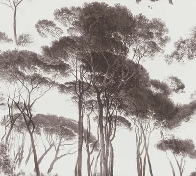 Produktbild von A.S. Création Waldtapete History of Art Vliestapete schwarz weiß 10,05 m x 0,53 m