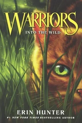 Produktbild von Into the Wild