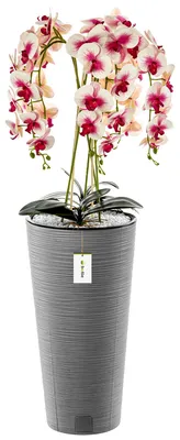 Produktbild von Blumenkübel freistehend Blumentopf  Ø 30 cm H 57,5 cm Beton Übertopf  Meißelblumentopf Pflanzkübel aus Kunststoff mit Einsatz